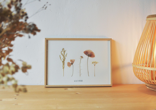 Tableau 21*30 cm - Herbier champêtre