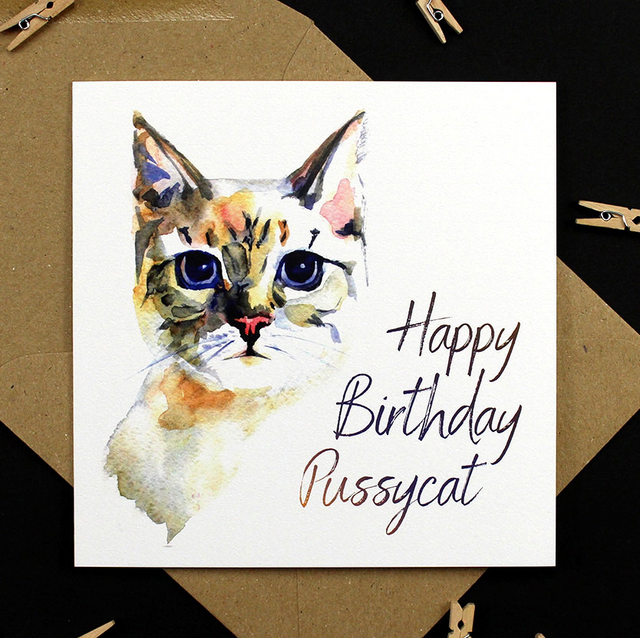 Happy Birthday Pussycat Card