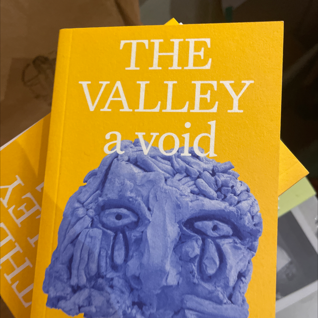 The Valley A Void Vanessa Roveto