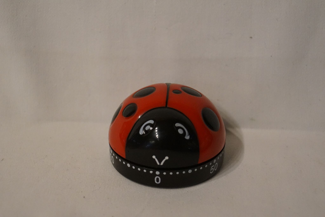 Küchenuhr "Marienkäfer"