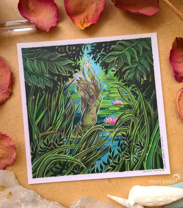 An Aquatic Garden - Carte Carrée