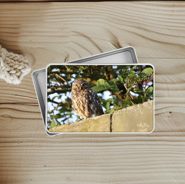 "Little Owl" Keepsake Tin 