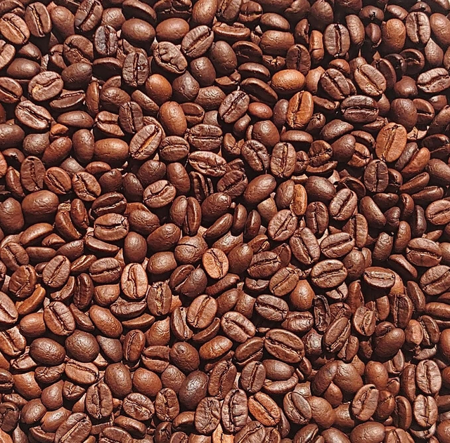 Monsooned Malabar Kaffee/Espresso 