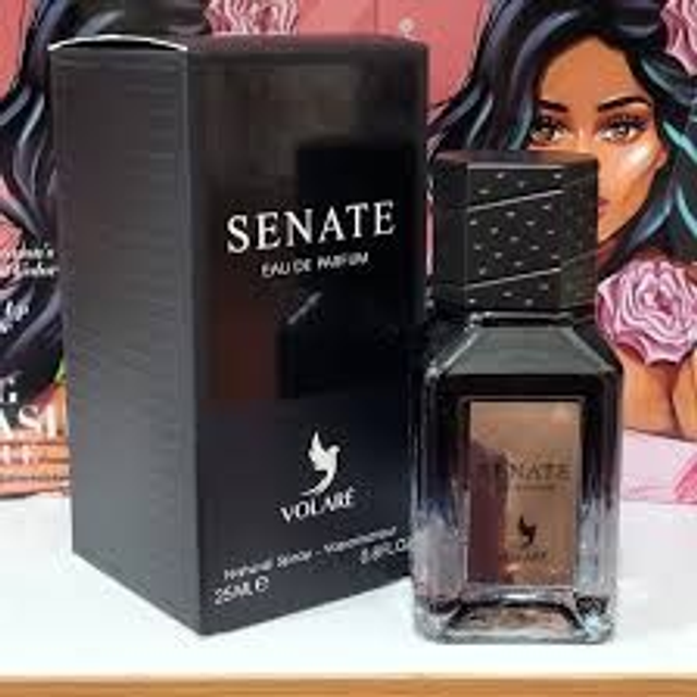 Senate Eau de Parfum Pour Homme 25 ml – Volaré