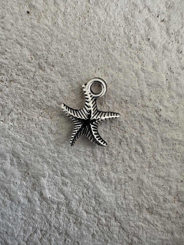Charm Petite étoile de mer