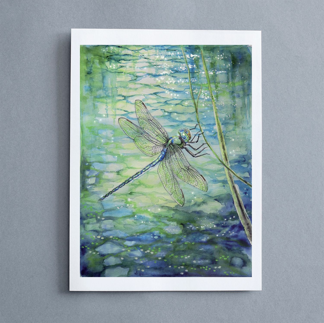 "Animali del Bosco, serie 1" - Riproduzioni numerate