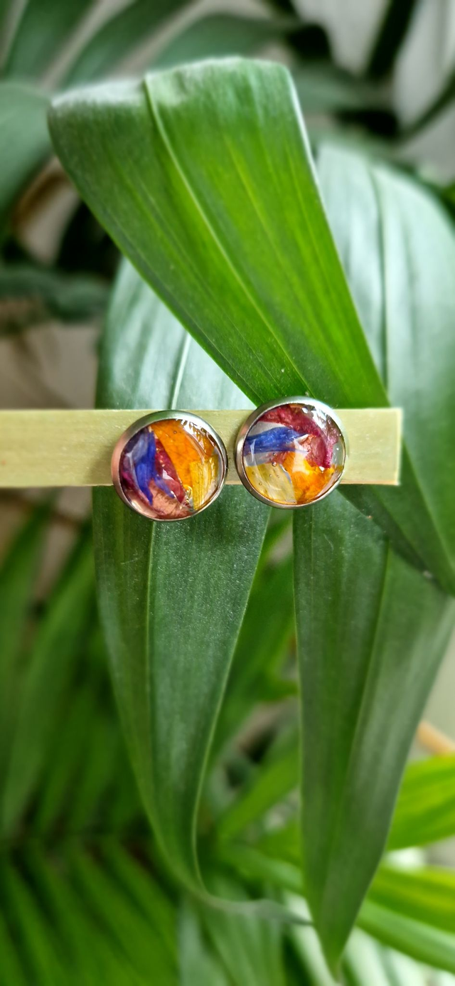Boucles oreilles arc en ciel puces