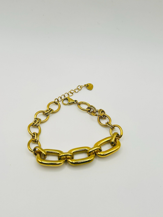 Stainless Steel Bracelet (SSB103J)