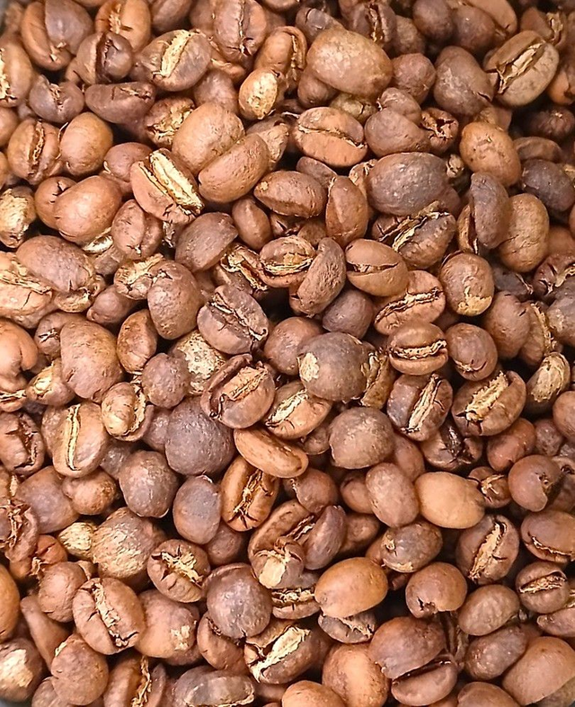 CQI 80+ Robusta_Red Honey (Gia Lai)_Pre-Order