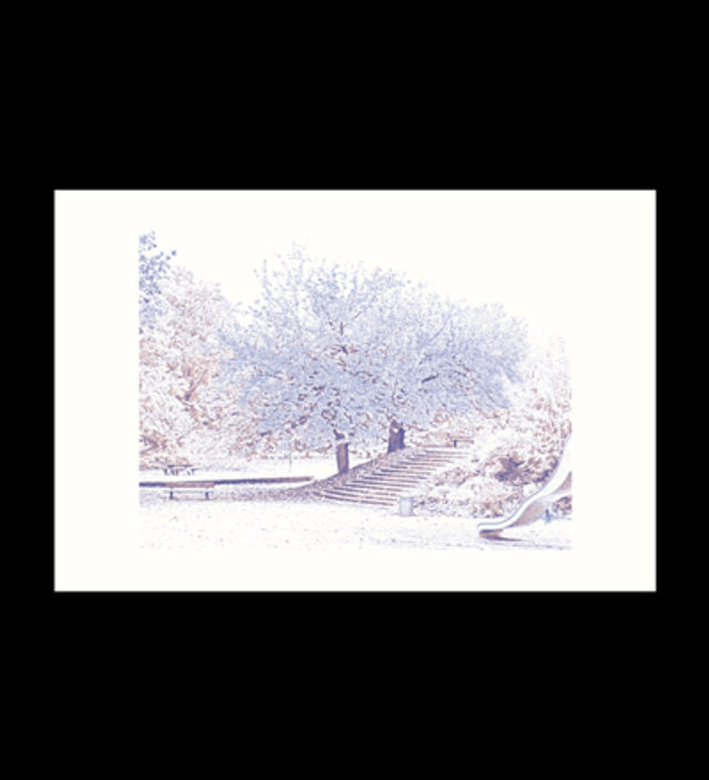 Les Vues, Le Square (Bleu nuit et rouge pailleté)