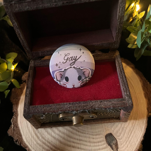 Chapa LGBTQ+ Rats // Gay