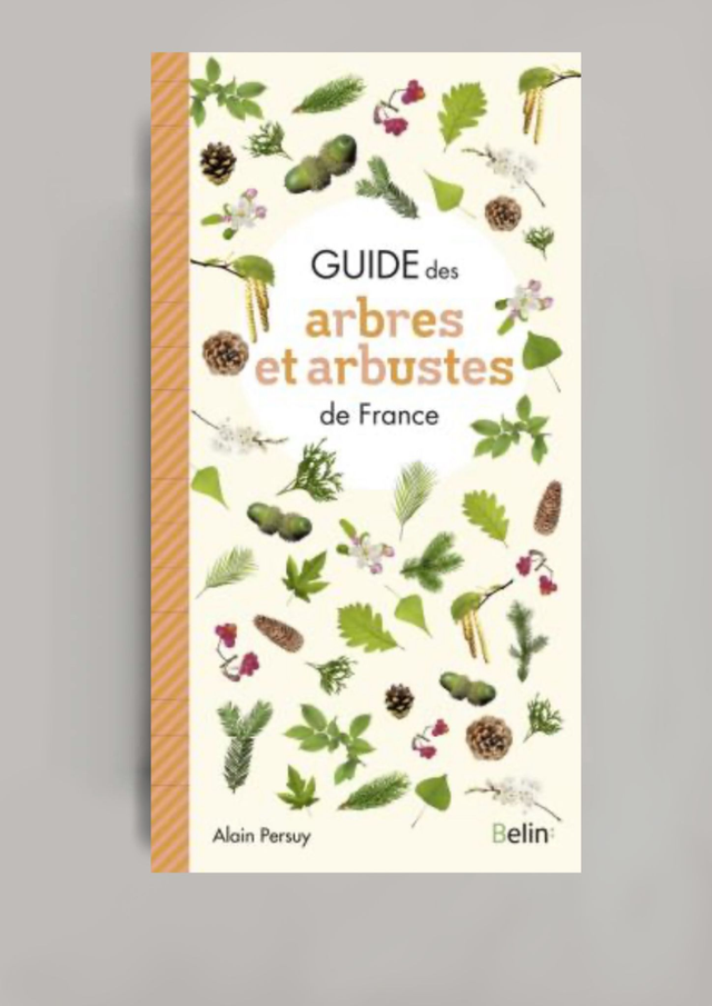 Guide des arbres et arbustes de France (BELIN:)