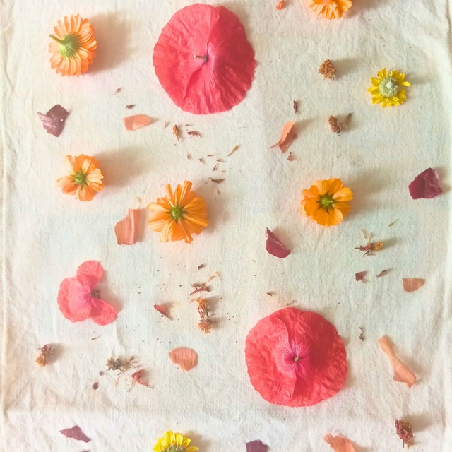 Écoprint - Atelier découverte