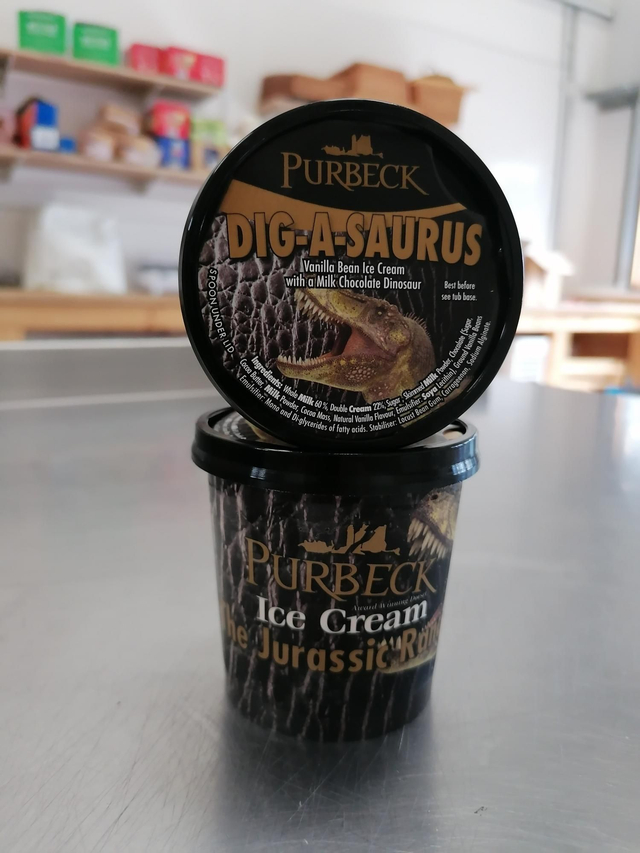 Purbeck ice cream tub Dig-a-saurus
