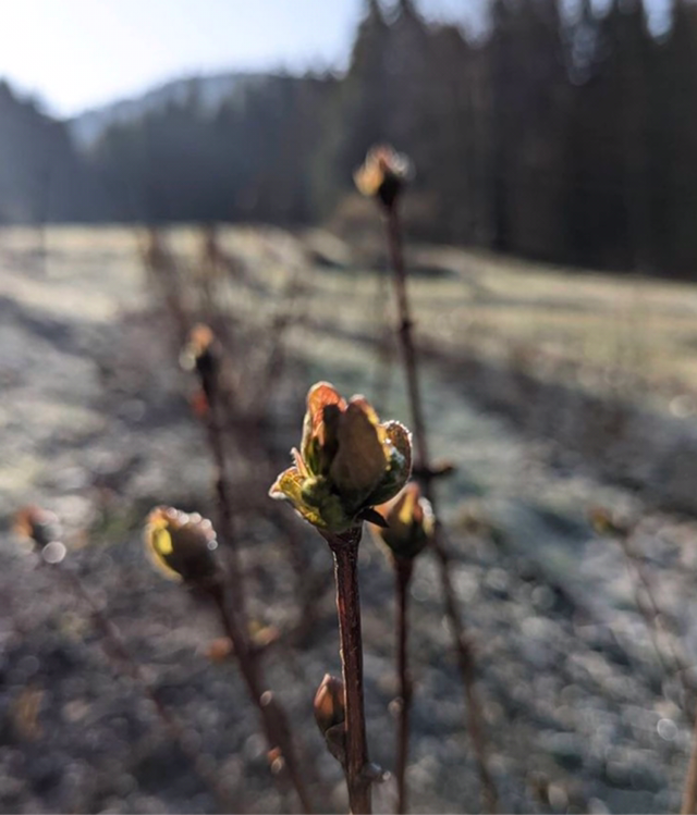 Consultation Naturo Beauté 