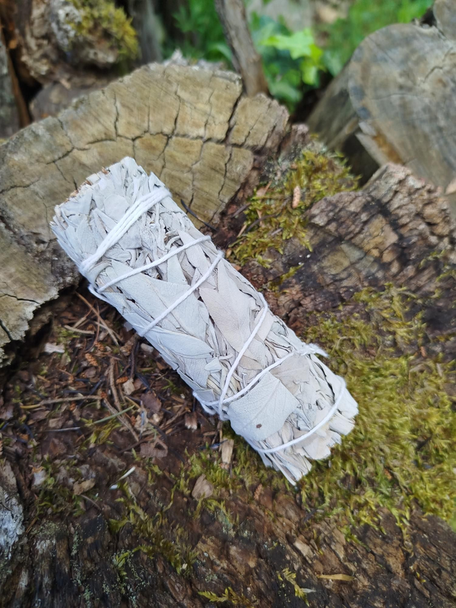 Bâton de sauge blanche 
