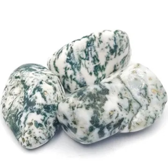 Tree Agate Tumblestone