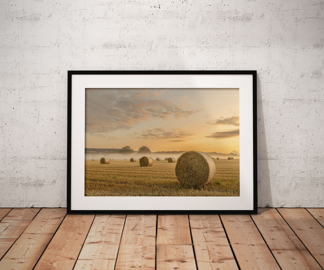 Fields of Gold, North Yorkshire