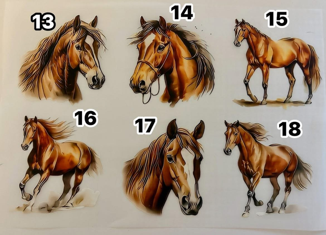 Coffret à personnaliser porte-clés et trousse avec DTF chevaux