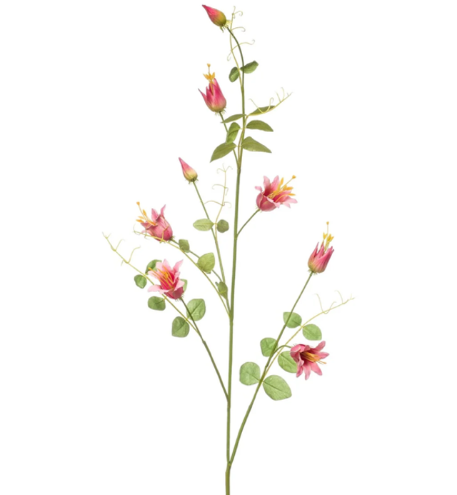 Clematis spray pink 115cm