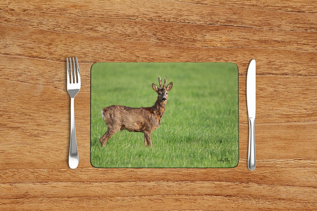 “Handsome Buck” Placemat  