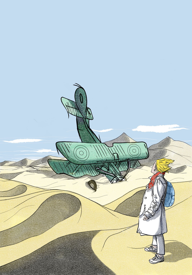 Riproduzione "Il Piccolo Principe e il biplano insabbiato" - Fulvio Tornese