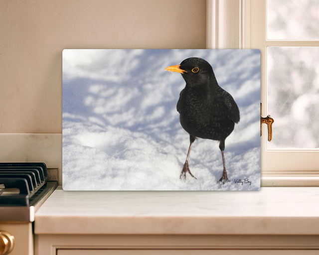 "Billy Blackbird in the Snow" Glass Worktop Saver  
