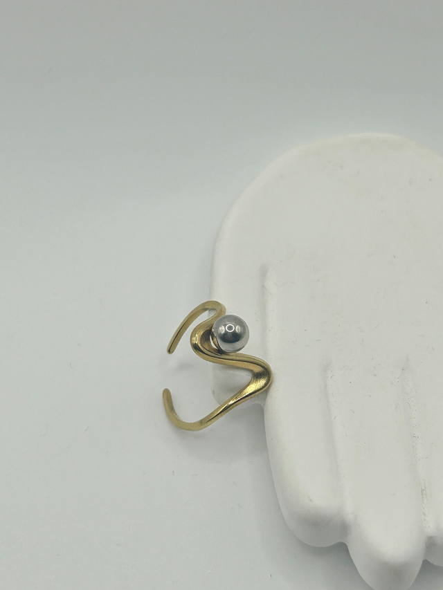 Stainless Steel Ring (SSR29J)