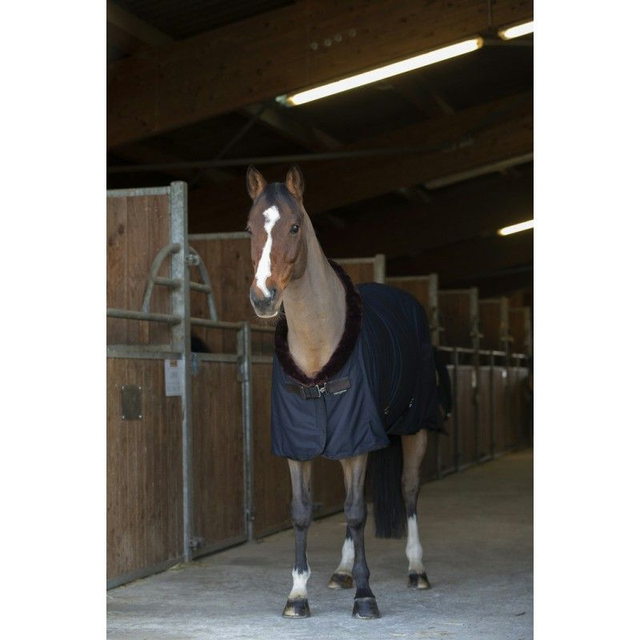 CHEMISE SÉCHANTE EQUITHÈME "TEDDY"