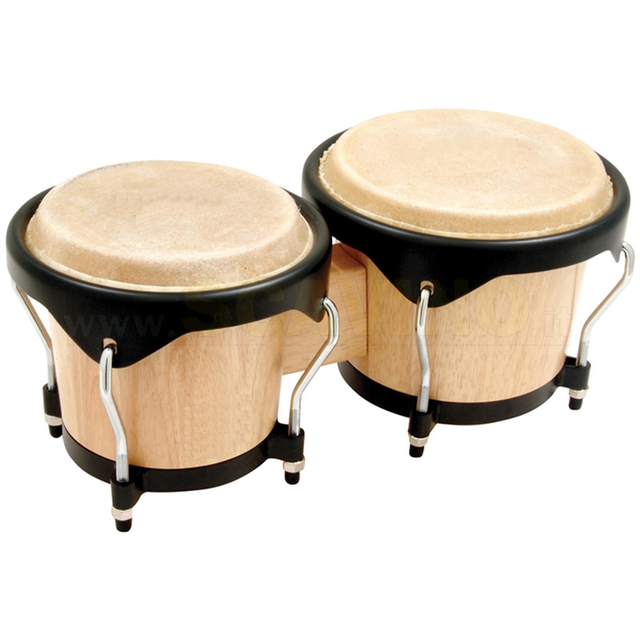 Bongo OYSTER FLT105F