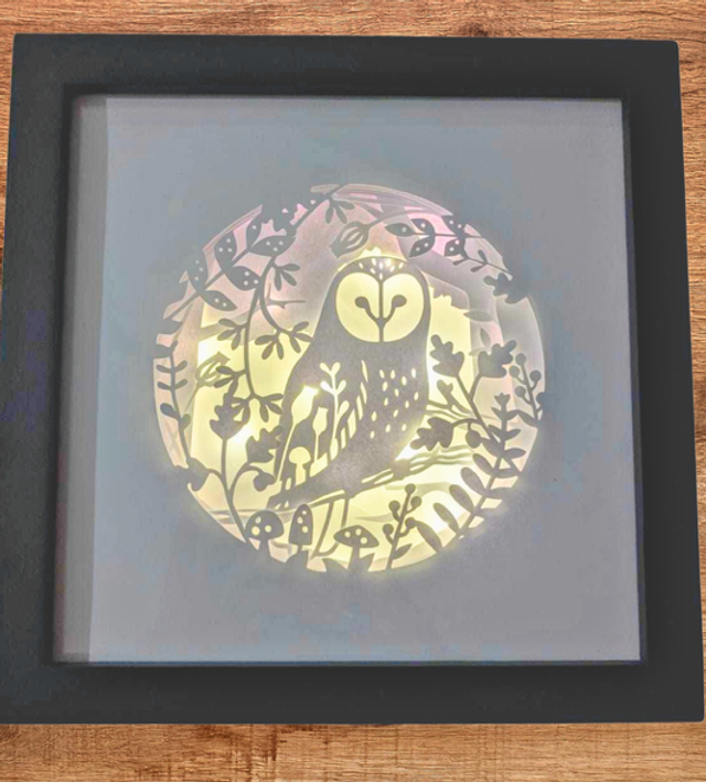 Shadow Box Hibou