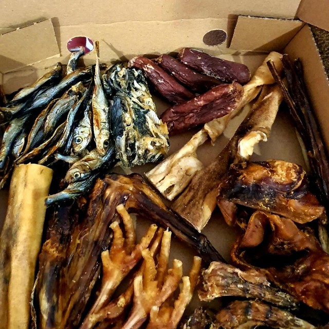 Puppy Box from 12 Weeks🐶🎁🐶