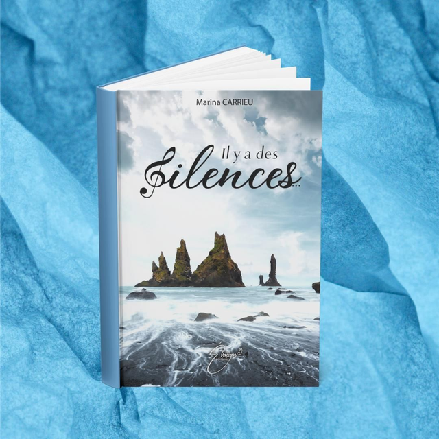 Il y a des Silences...