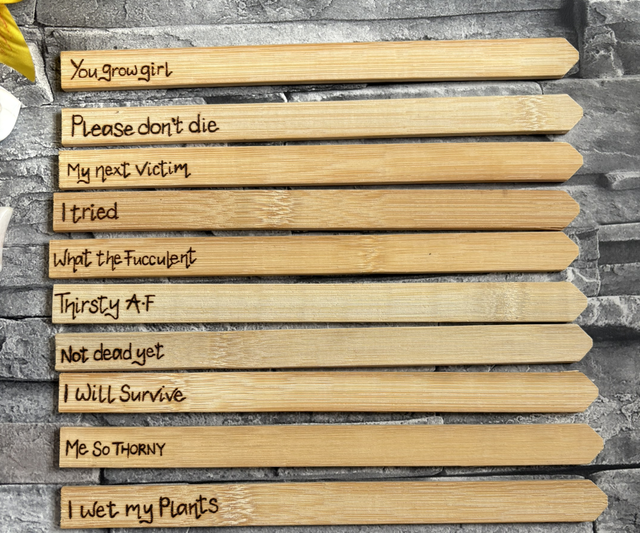 Bamboo plant stakes. Pyrography. Handburnt 