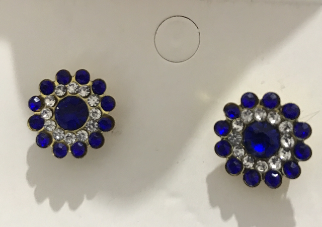 Blue Stone Stud Earrings - STU86