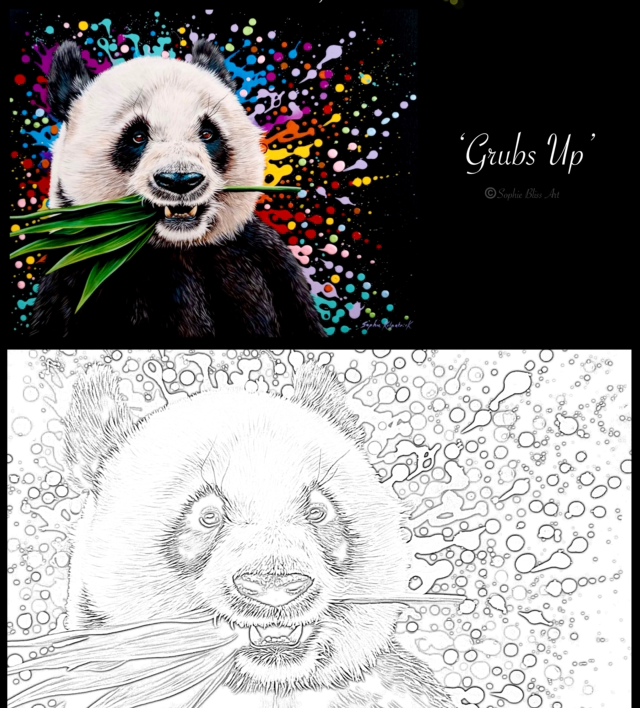 Adult Colouring Book - Splat Designs