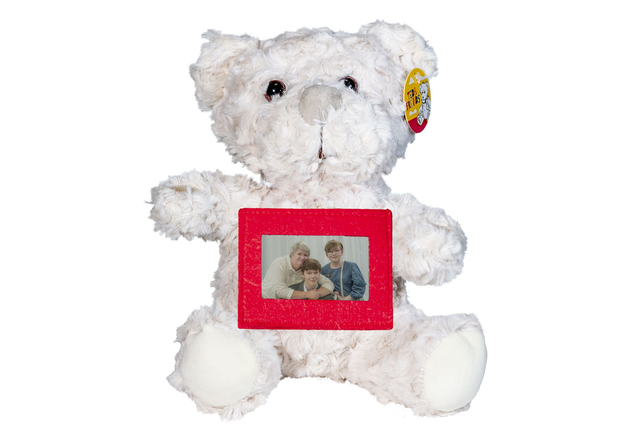 All Occasions Teddy Bear