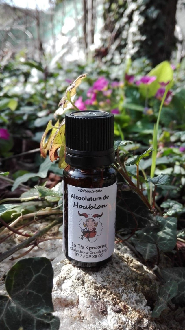 MACERAT ALCOOLIQUE de Houblon [BIEN-ETRE Détente] 10ml