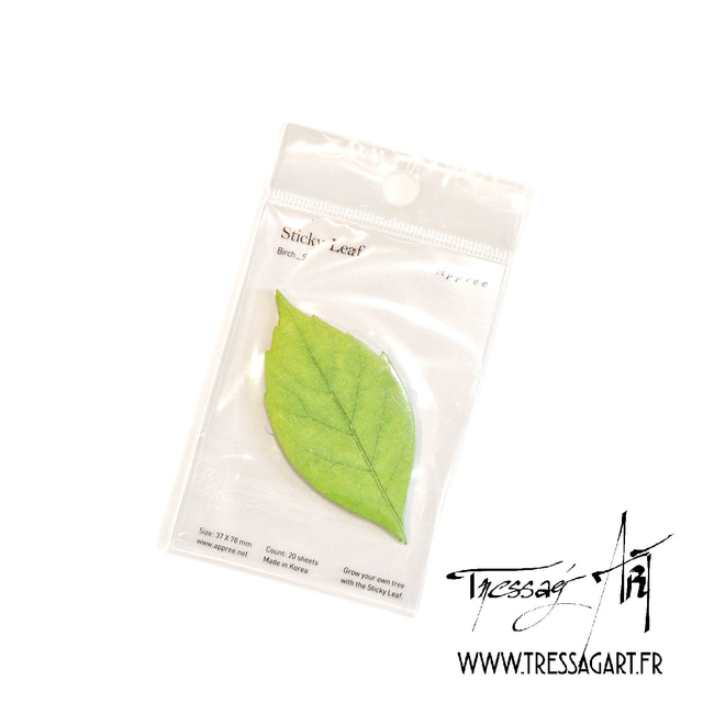APPREE - MEMO FEUILLE VERTE - KC048