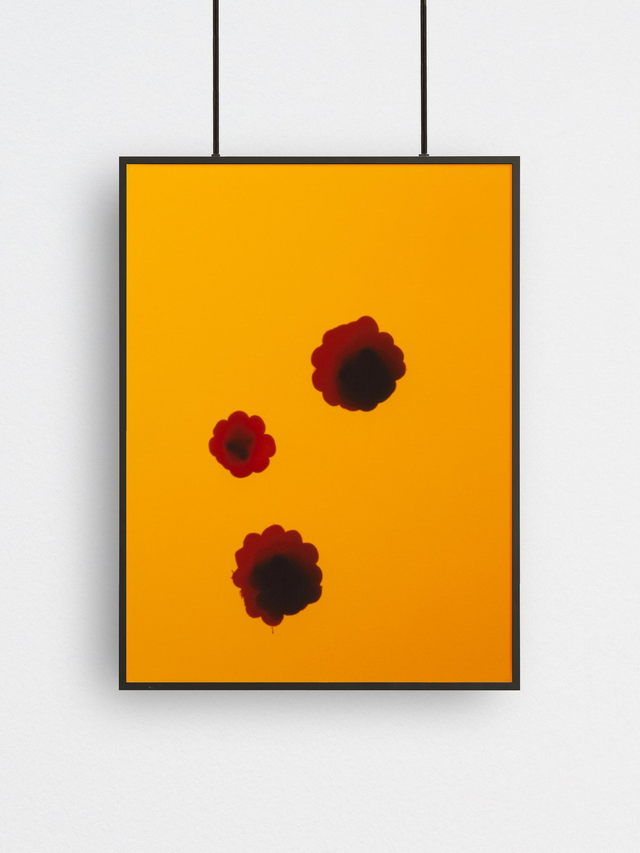 Wasteland Polaroids 3, Fine Art Print