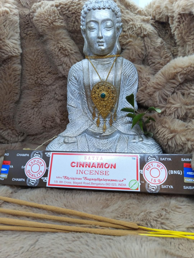 Encens SATYA "Cinnamon" 