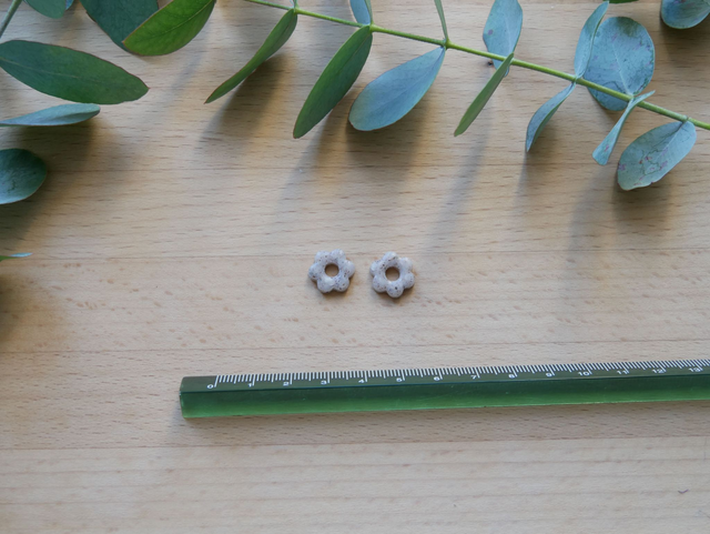 Mini mini bloom pierre