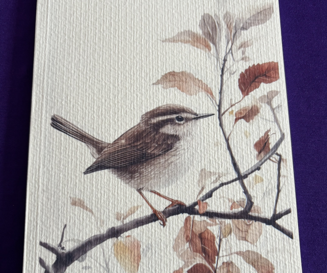 Lined Note Pad Bird Wren