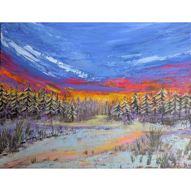 Last light on the forest trail