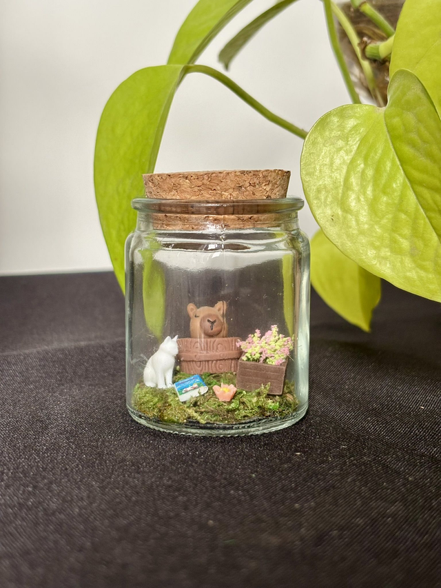 🍃 Mini terrarium verre - Édition été - Capybara