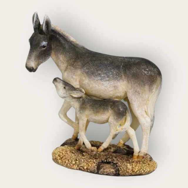 Âne avec bébé debout 