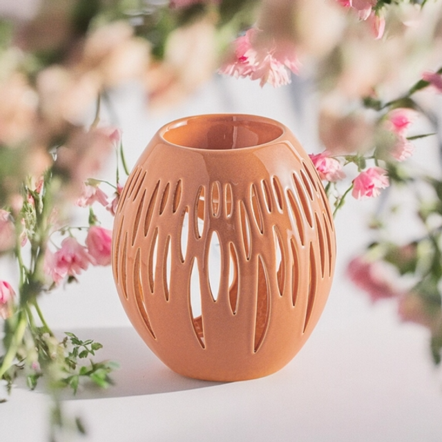 Brûleur Série Céramy - Ovali Terra