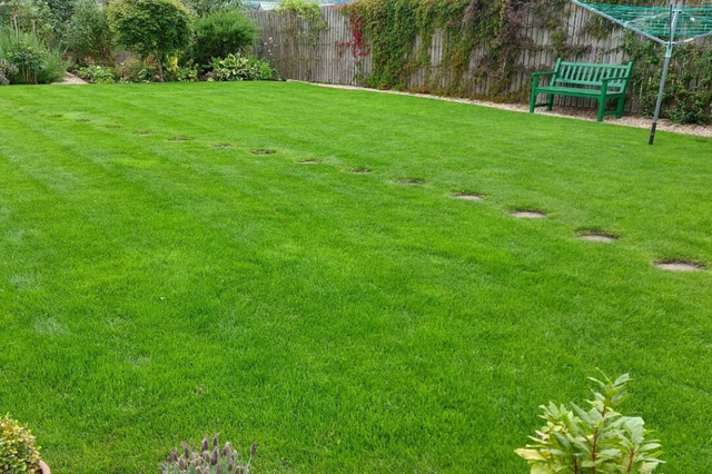 LAWN TIDY UP BRONZE