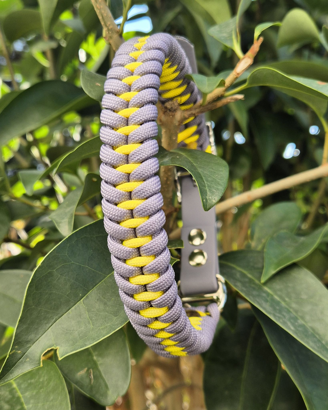 Collier biothane - Taille M