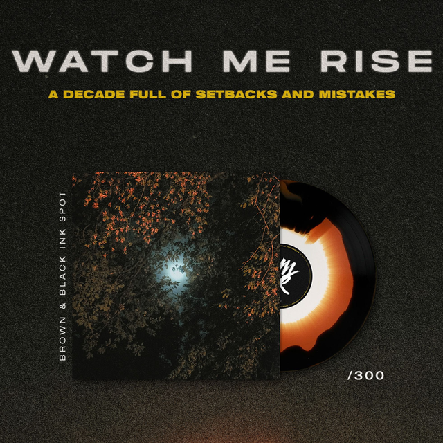 A DECADE FULL OF SETBACKS AND MISTAKES - Vinyl